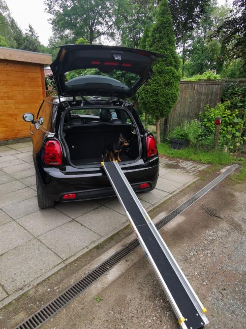 jan_de_kort_6_1.jpg