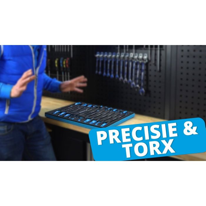 21-delige precisie en torx schroevendraaiersset in "PRO" softmodule-6
