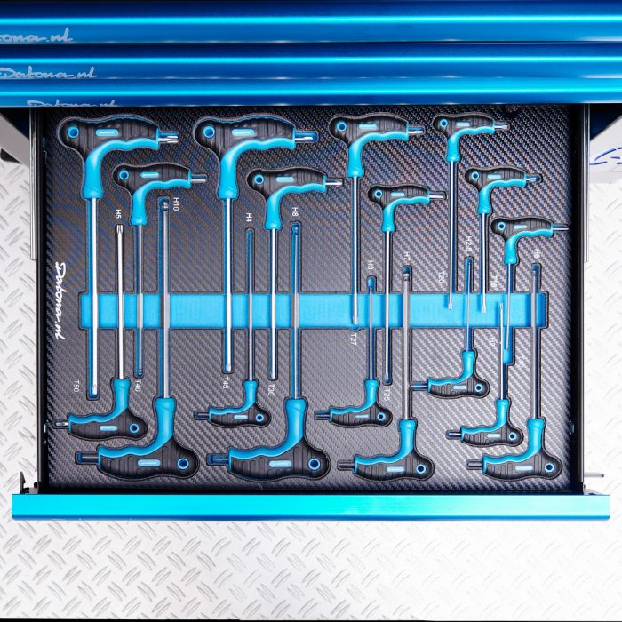 18-delige inbus- en torxsleutelset met T-greep in "PRO" softmodule-1