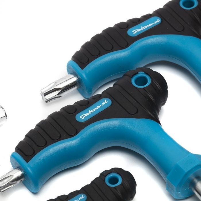 18-delige inbus- en torxsleutelset met T-greep in "PRO" softmodule-21