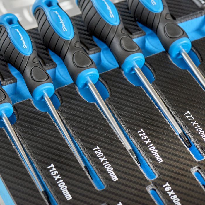 21-delige precisie en torx schroevendraaiersset in "PRO" softmodule-15